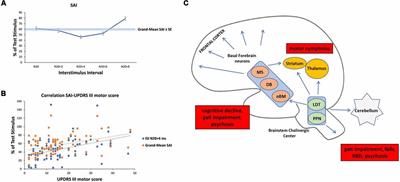 Fast Intracortical Sensory-Motor Integration: A Window Into the Pathophysiology of Parkinson’s Disease